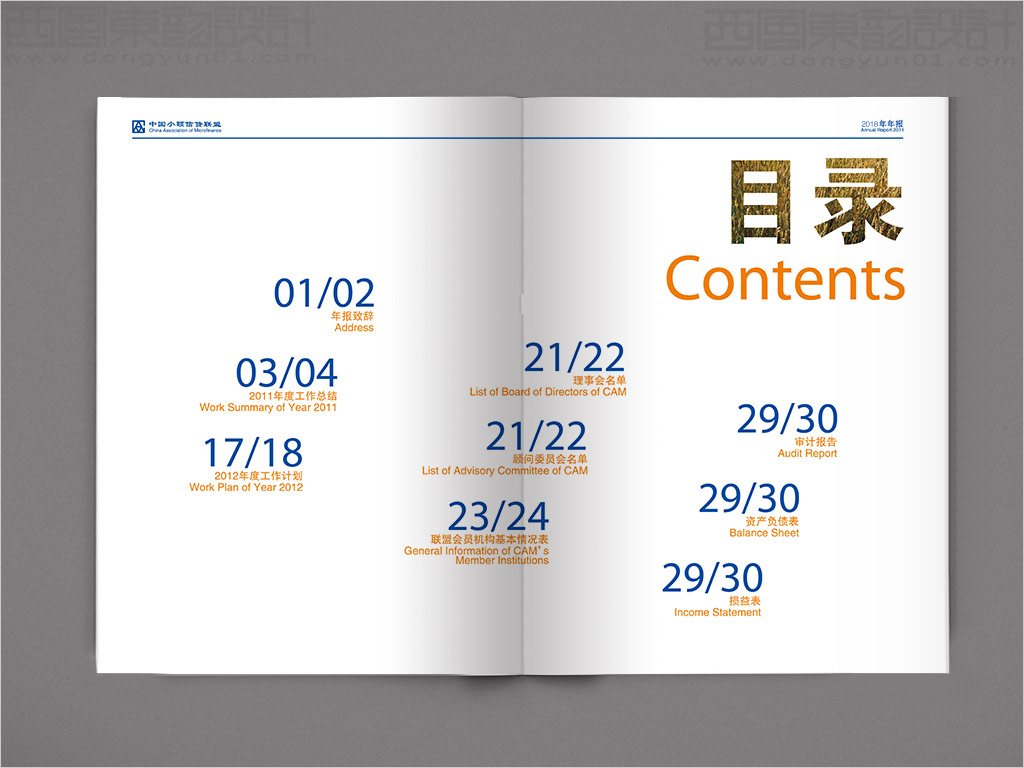 中國小額信貸聯(lián)盟年報設(shè)計之目錄頁設(shè)計