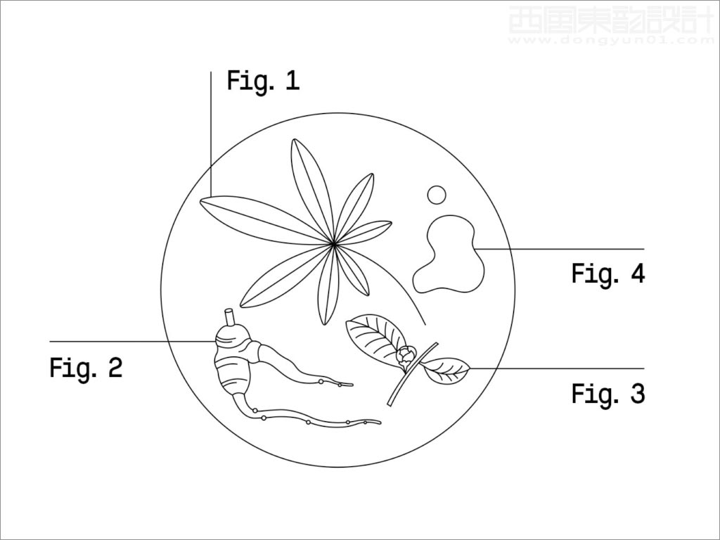 科學(xué)與自然完美融合的Healist保健品線(xiàn)稿插圖設(shè)計(jì)