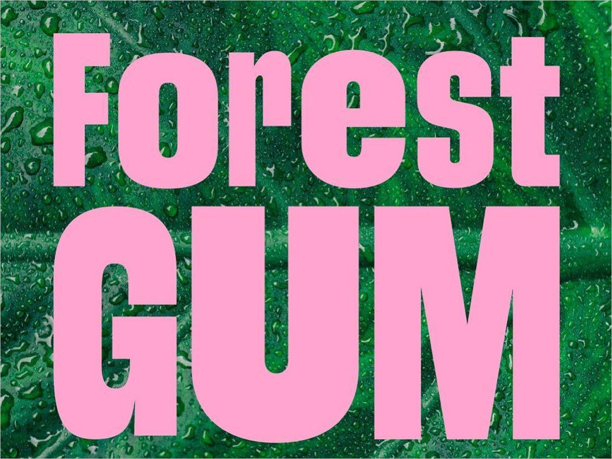 德國Forest Gum天然口香糖logo設(shè)計(jì)